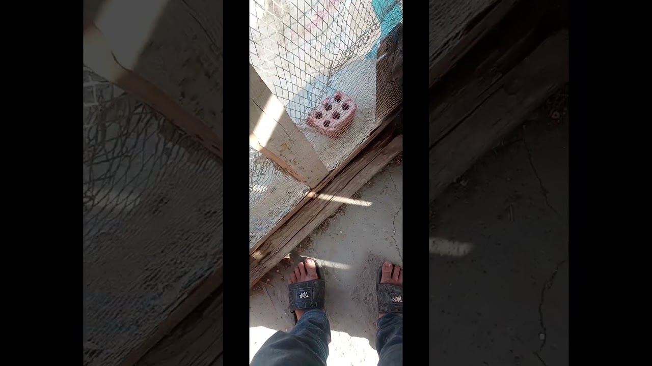 ٧ يناير ٢٠٢٦