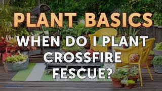 When Do I Plant Crossfire Fescue?