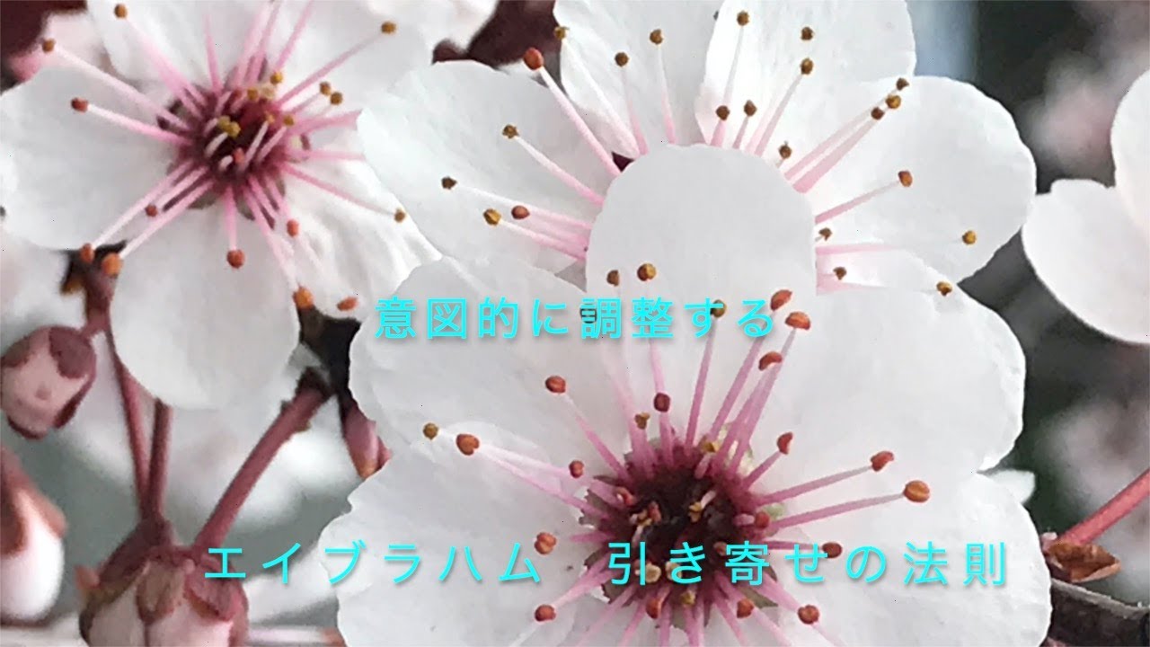 エイブラハム  引き寄せの法則　意図的に調整する