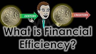 Financial Efficiency Ratios Explained