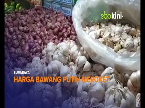 sbo tv digital Harga Bawang Putih di Pasar Wonokromo Tembus 80 Ribu Rupiah
