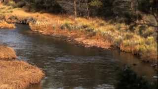 NFWF Water in the West