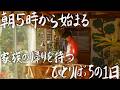 【31歳田舎暮らし】ひとりぼっちで過ごす朝5時から始まる田舎の初夏 #315