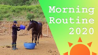 シャムロック乗馬クラブのモーニングルーティン