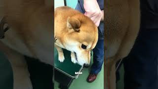 артикул на наш гель на вб #WW554388 - копируй и вставляй на ВБ вместе с буквами WW 🪥