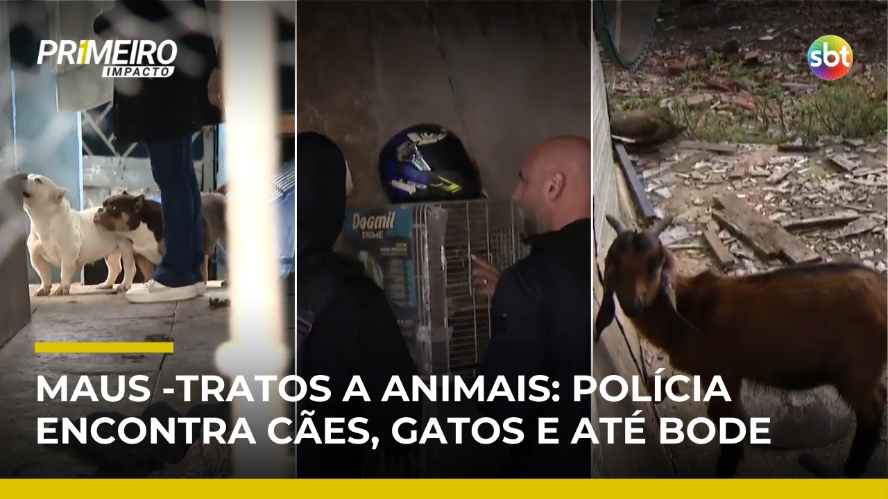 SP: Polícia faz operação contra maus‑tratos e resgata cães, gatos e até bode | #PrimeiroImpacto