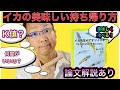 アオリイカはどうやって持って帰れば美味しくなるの？K値ってなに？美味しいアオリイカの持ち帰る最適な温度は？どうやったら透明になる？＃料理＃ティップラン＃アオリイカ＃入門者