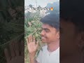 🥐 my English vlog 🔥 🔥😍😍#aivideo #shortvideo #comedy #videoediting #viral #minivlog