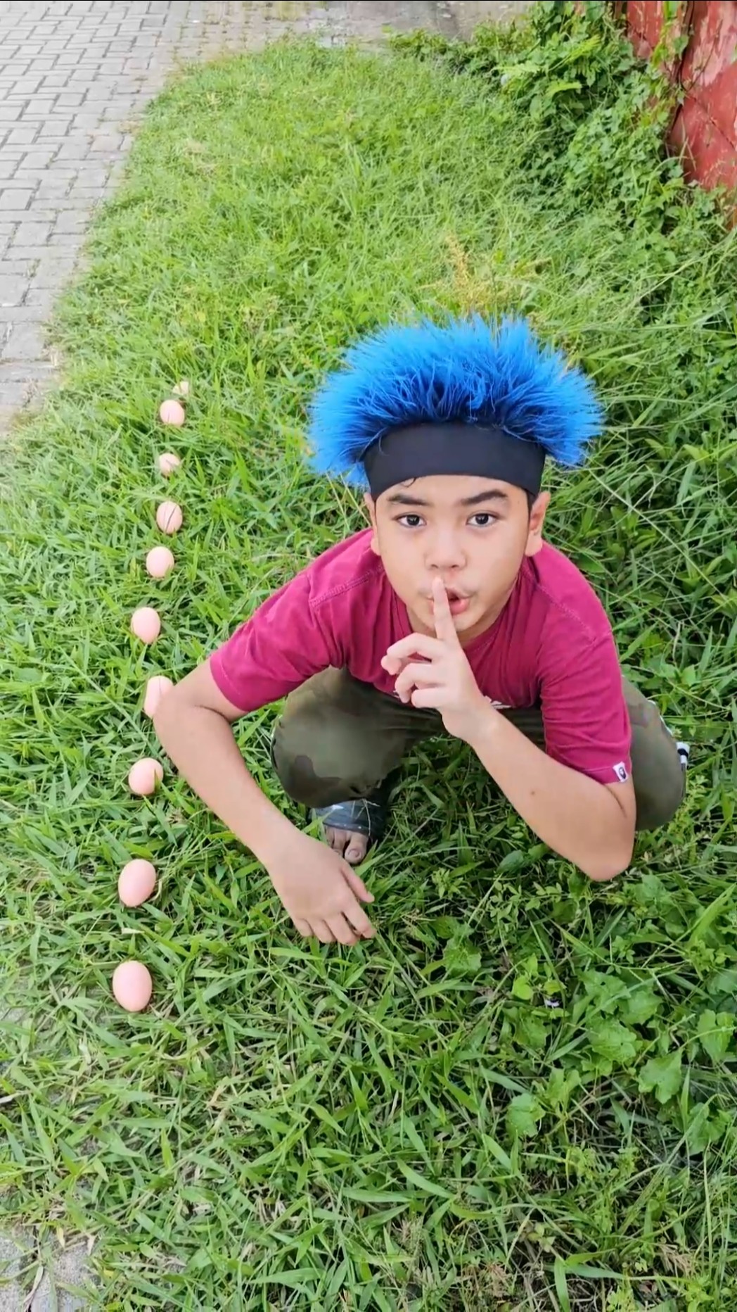 Steal eggs #shorts #abilfatankey