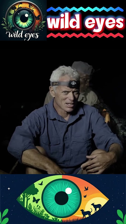 most deadly snake of riverOne of the most dangerous snakes in the world surprises Jeremy