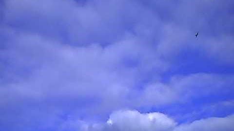 Funjet Multiplex Erstflug