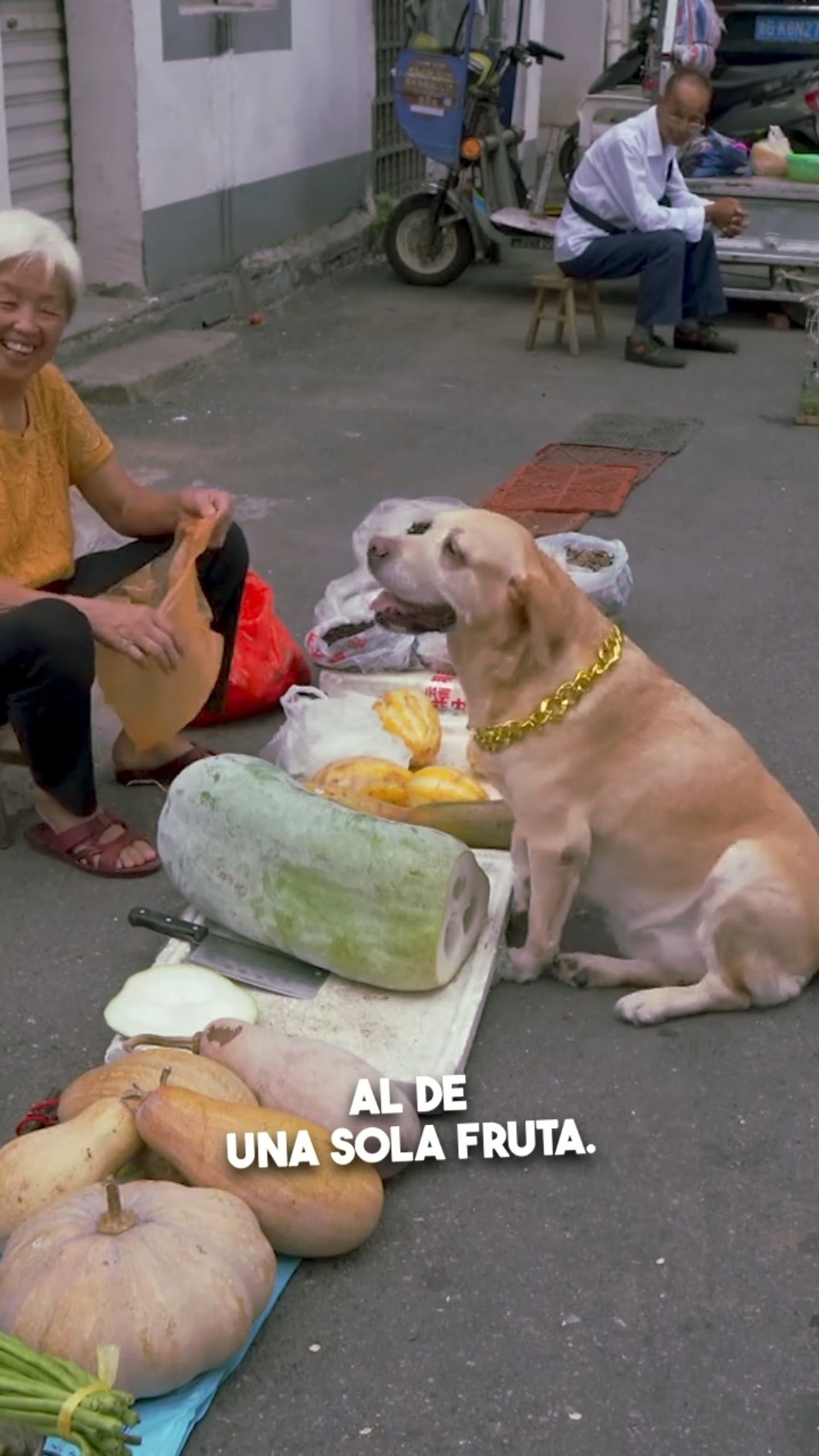 ¡Este perro sabe manejar dinero! ???
