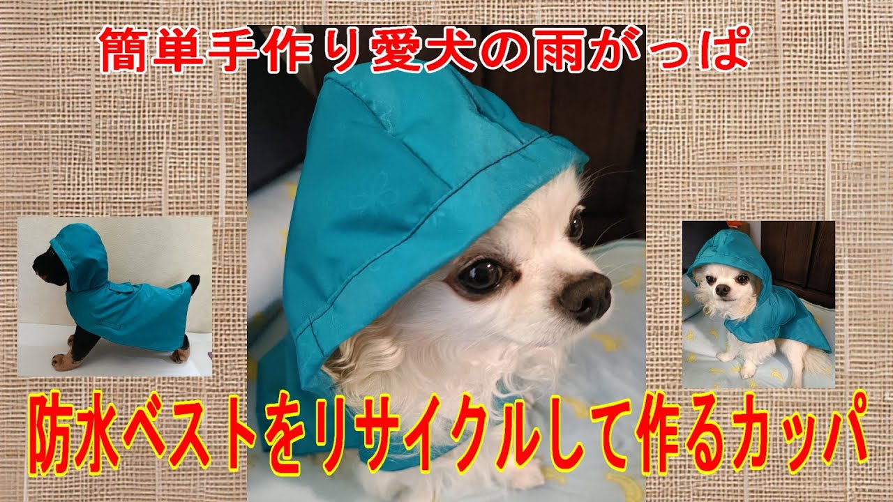 maxresdefault.jpg