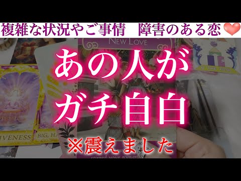 【衝撃発言】唖然。あの人がついに沈黙を破ります。