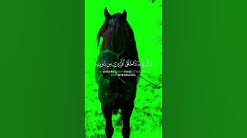 سورة الكهف#قران_كريم #اكسبلور #الرحمن #music #دويتو #المصحف #duet #المراه #تيك_توك #اعتني