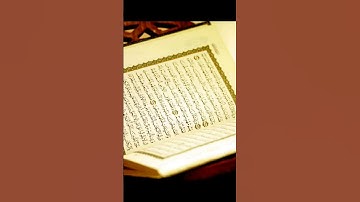 راحة نفسية❤️😴 #تلاوة_قرأنية #قران_كريم_بصوت_جميل_تلاوة_هادئة #القارئ #محمد_اللحيدان #تلاوات_#قران