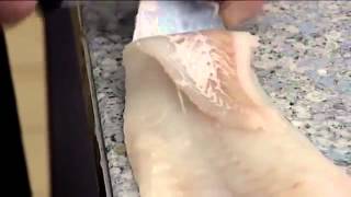 How to Skin an Atlantic Cod   407