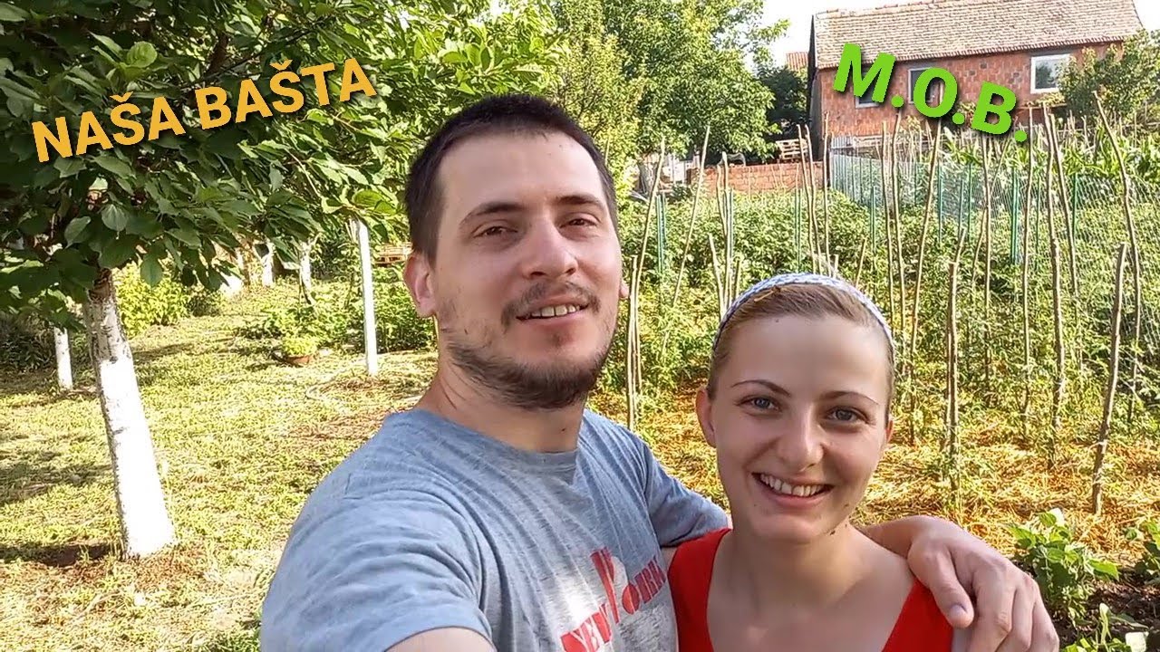 Kako izgleda ORGANSKA BASTA u junu