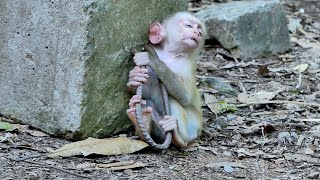 Million P.i.t.t.y Little Bebe Lucie When Mama Luna Leave Her Alone