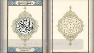 سورة الدخان يحي حوي