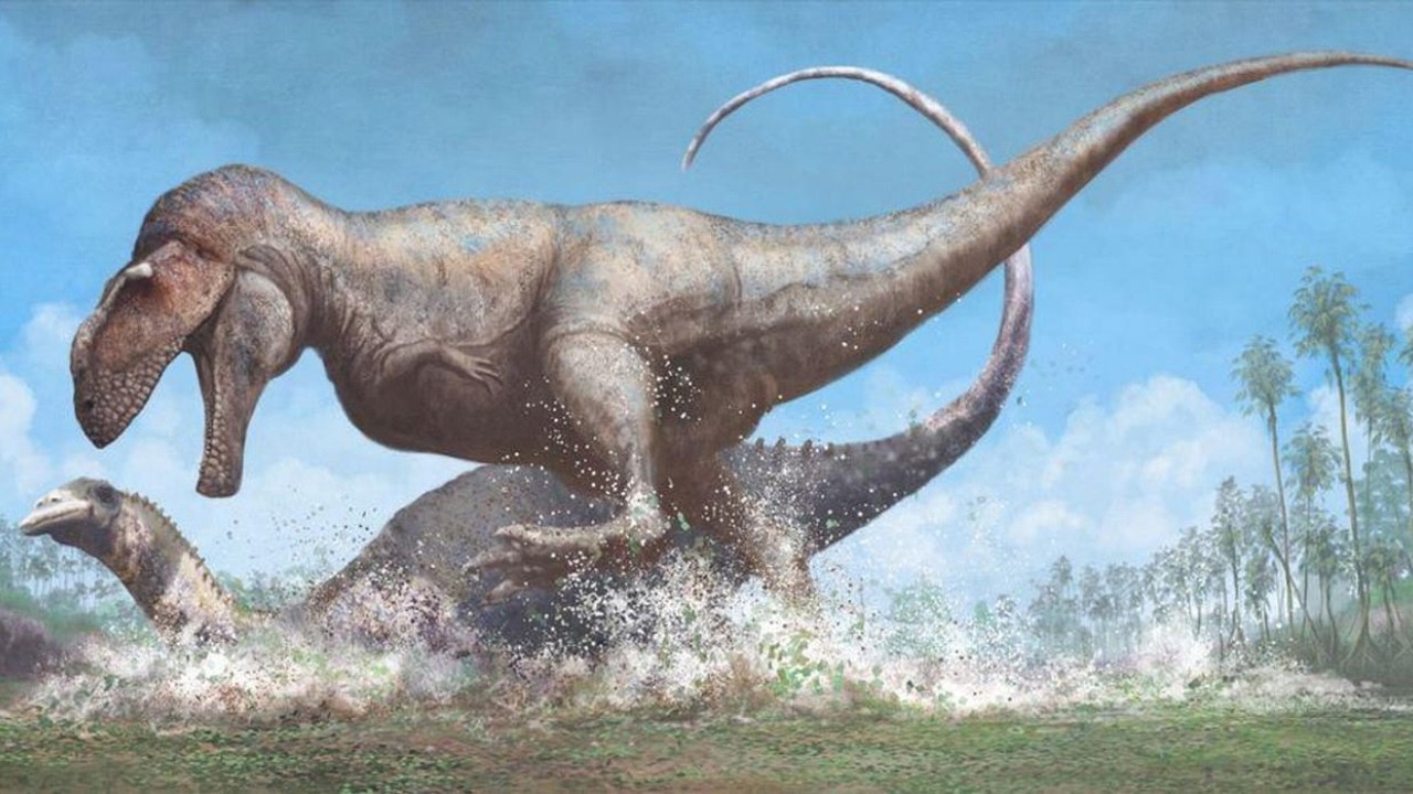 Carcharodontosaurs: Great Dragons of the Southern Hemisphere