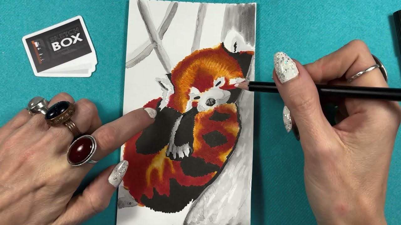 SKETCHBOX DECEMBER 2021 PREMIUM