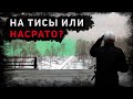 DayZ 1.10 | Неудержимые | Стрим | На тисы?