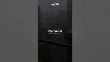 والذين لا يشهدون الزور وإذا مروا باللغو مروا كراما | سورة الفرقان | القارئ #محمد_اللحيدان #قرآن