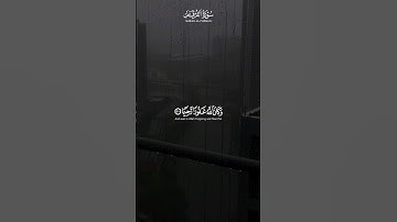 والذين لا يشهدون الزور وإذا مروا باللغو مروا كراما | سورة الفرقان | القارئ #محمد_اللحيدان #قرآن