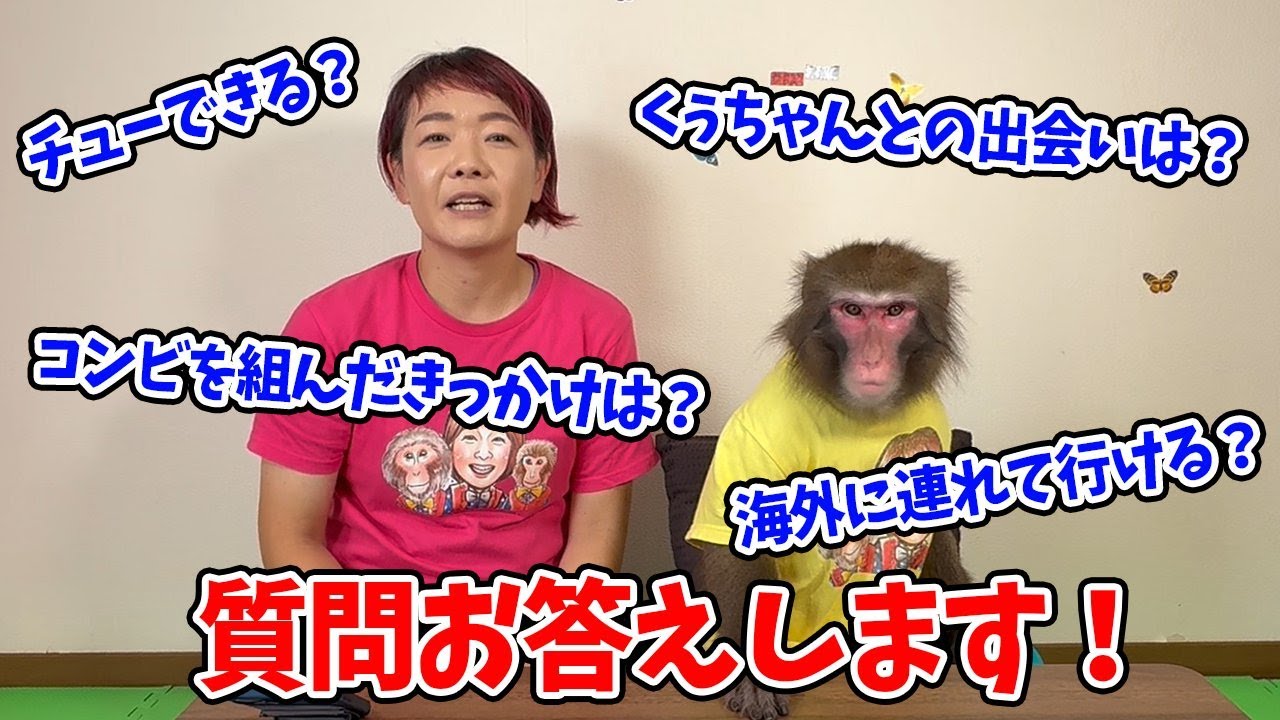 質問コーナー】コメント欄などで頂いていた質問を一気に答えます