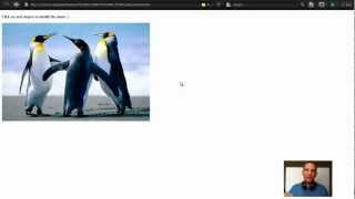 Celebrity HTML5 Tutorial - 13th lesson. Beginner. Net Worth