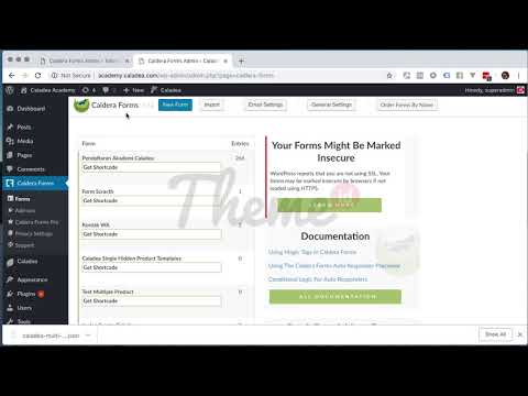 Cara Export Form dari Caldera Forms