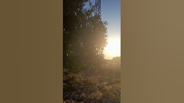 والشمس تجري لمستقر لها    سورة يس #سورة_يس