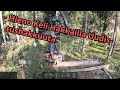 Uudistushakkuuta Tällä Viikolla ja Nyt Pitää Jättää Männyt Pystyyn. Ponsse Scorpion K AC New H7 -25