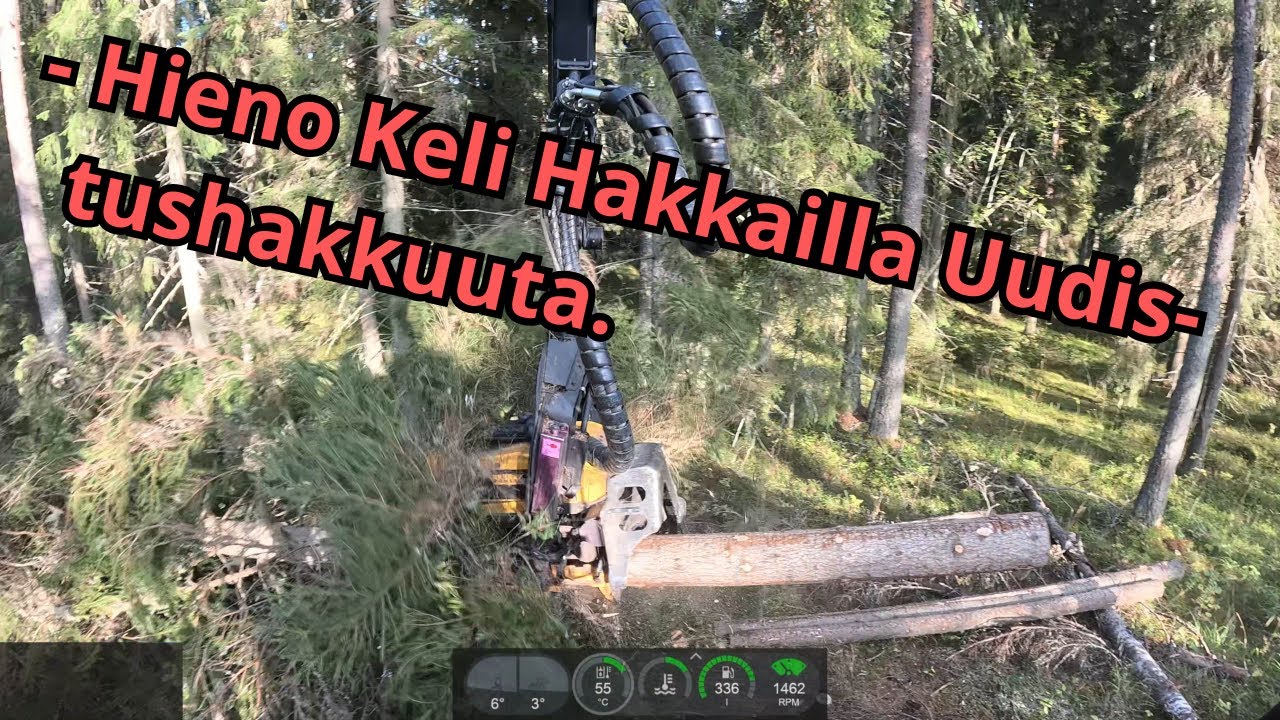 Uudistushakkuuta Tällä Viikolla ja Nyt Pitää Jättää Männyt Pystyyn. Ponsse Scorpion K AC New H7 -25