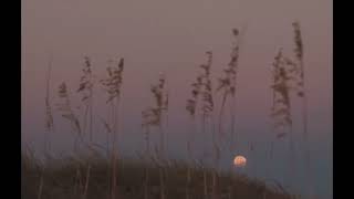 Beach house - Somewhere tonight ✨(slowed)