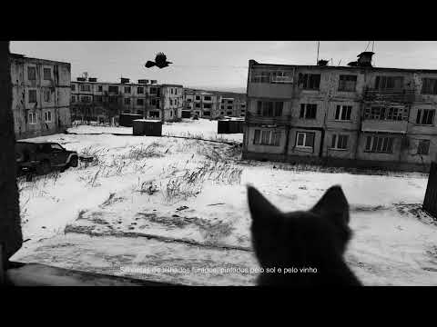 Улица Восток - Зачем нужна красота?