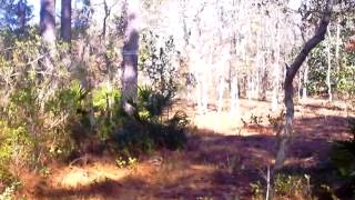 7795 NW Porter Grade Rd video tour