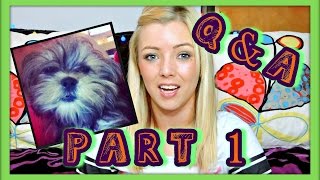 Q&A The Answers Part 1 Hammylux