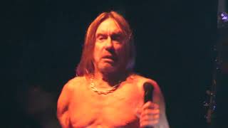 Iggy Pop - Hero [Neu! cover] (Live in Copenhagen, June 5th, 2022)