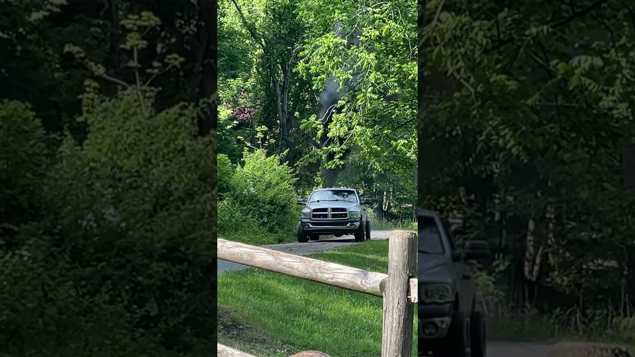 Rowdy Cummins nv5600