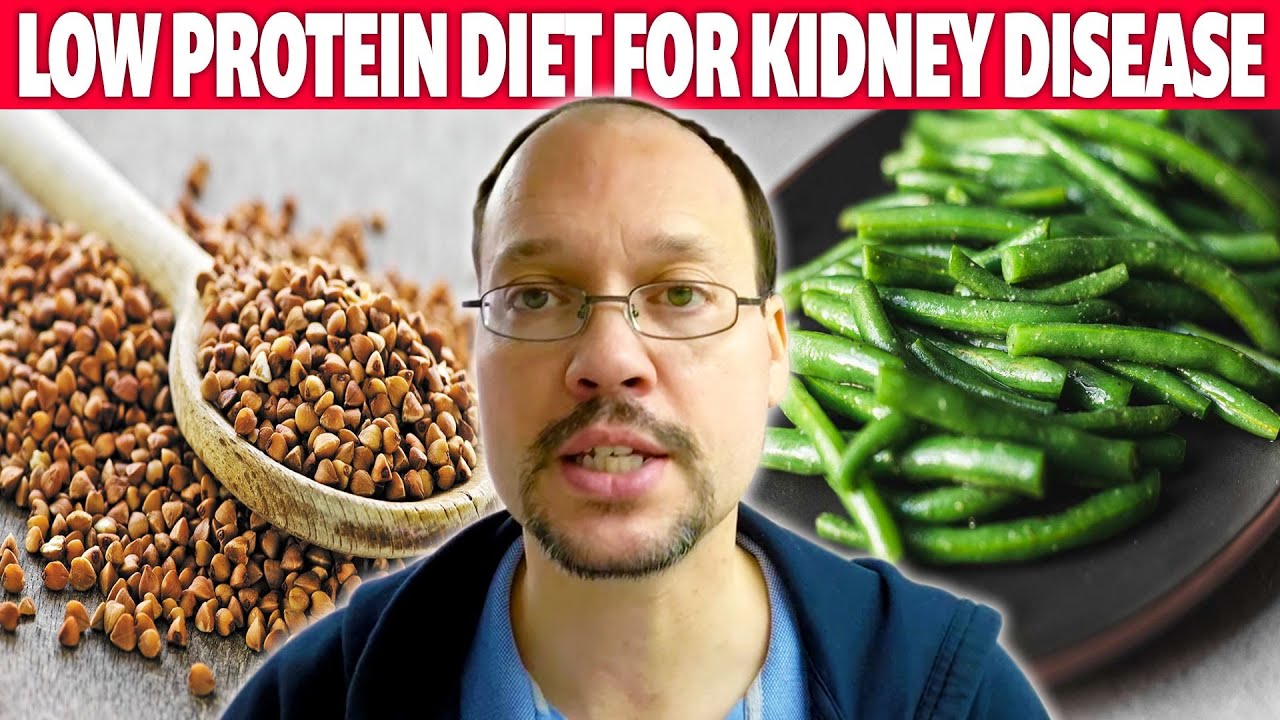 My Protein Diet For Kidney Disease. My Lowprotein Kidney Diet For A Day ...