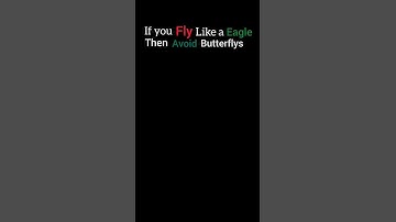 | Avoid butterflies 🚫⚠️ | #motivation #quotes #mindset #trending #motivationalquotes #eagle #shorts