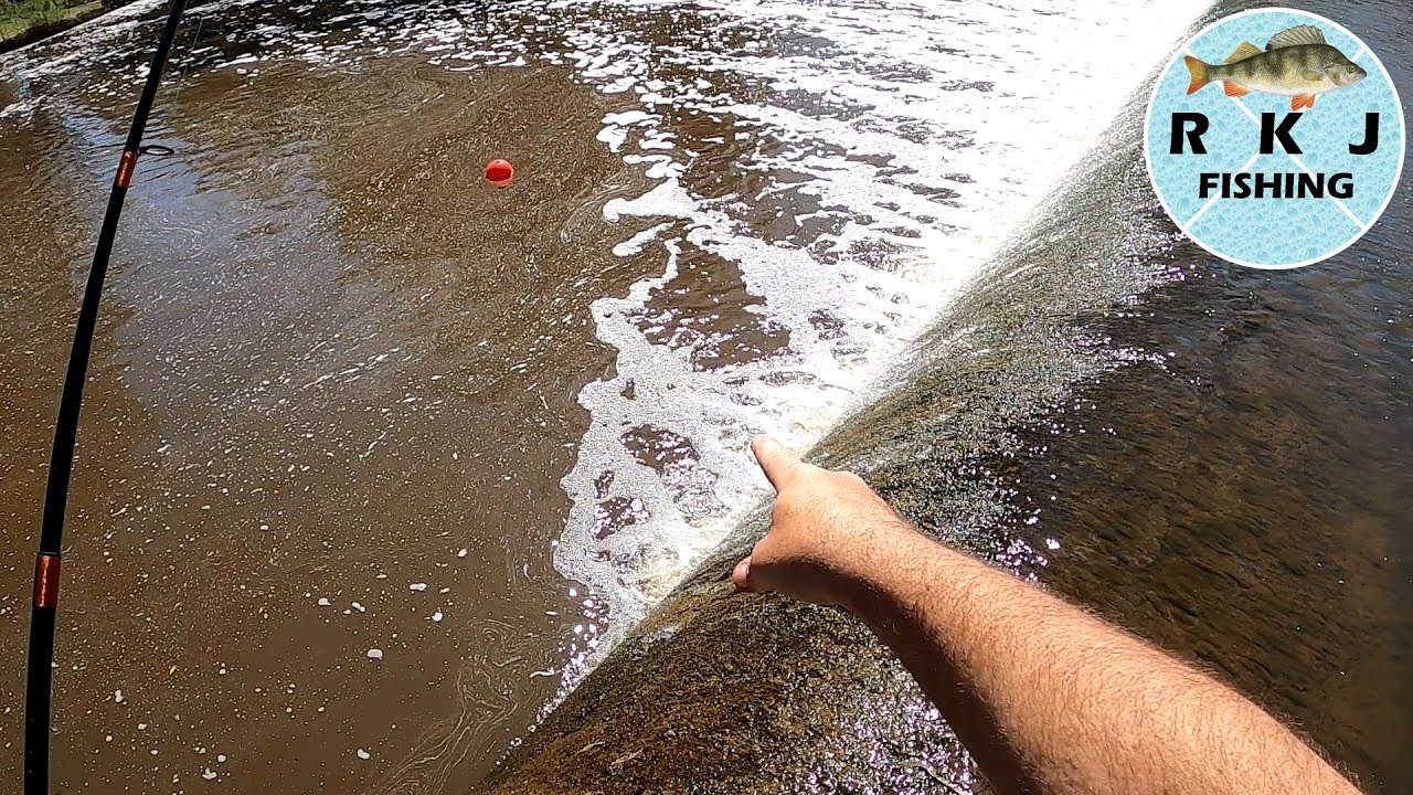 Spillway float fishing YouTube