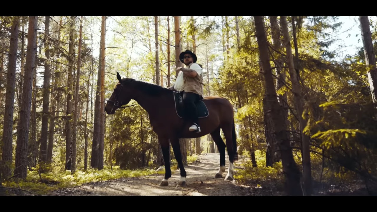 Reagerar på Swish av Anis!