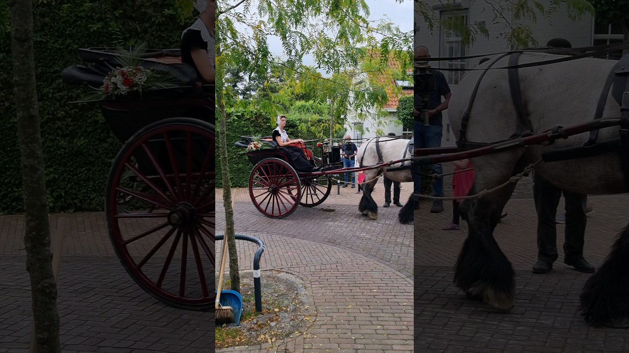 Ringrijden Sjezen Gapinge Zeeland Nederland  