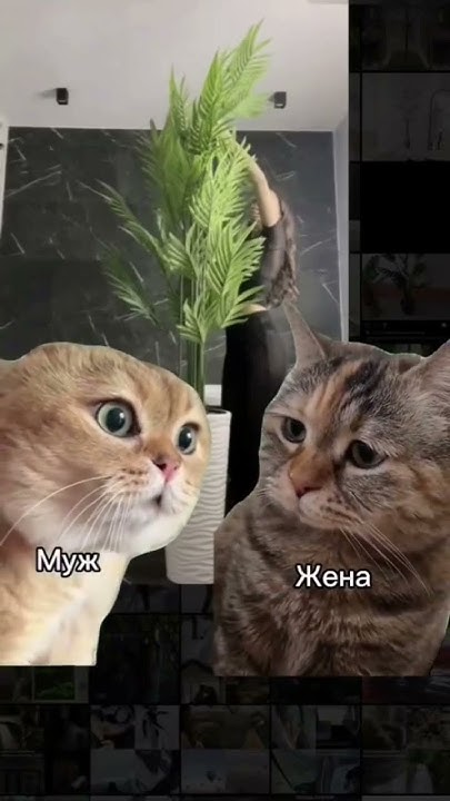 Гдэ Дэнги? 😁 - YouTube