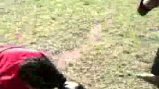 Murillo Grilo Ferreira Vs Matheus Touro Ferreira