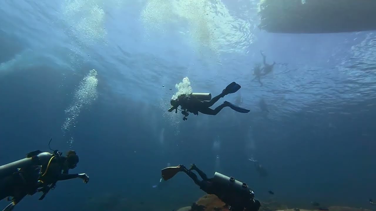 Diving in Bali - Nusa Lembongan - August 2024