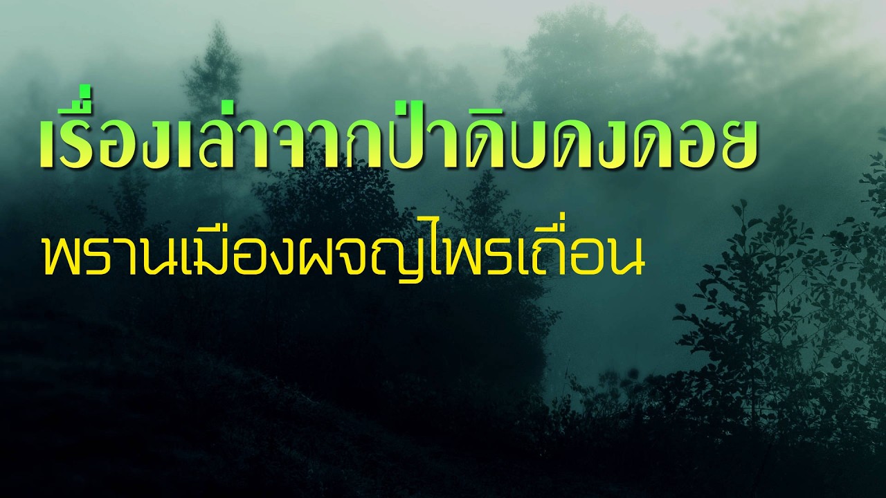 เรื่องเล่าจากป่าดิบดงดอย ชุด พรานเมืองผจญไพรเถื่อน (ฟังเพลินยาวๆกว่า 4 ชั่วโมง)